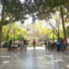 La Plaza del Museo