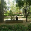 Las zonas verdes urbanas un factor de calidad ambiental