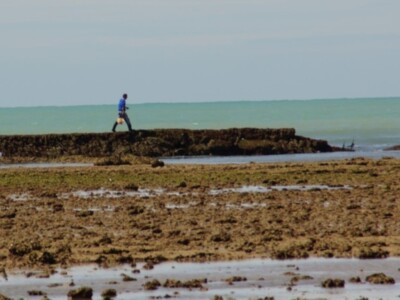 Chipiona será sede de una jornada para la sostenibilidad de la pesca costera y artesanal