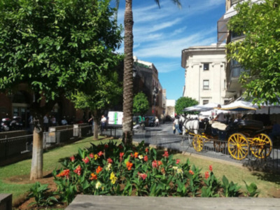 Imaginación: Un hermoso parque con flores coloridas, árboles verdes y un palo de madera en el suelo. El cielo es azul con algunas nubes blancas. La imagen parece ser una ilustración o una representación artística de un parque natural.