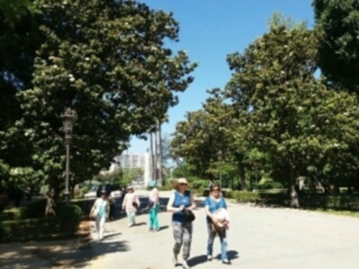 Gente caminando en un parque soleado con árboles verdes y luz del sol brillante.