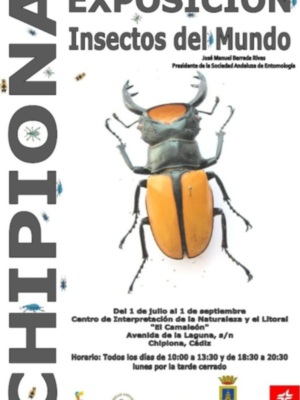 José Manuel Barreda muestra en el centro El Camaleón su colección de insectos del mundo hasta septiembre