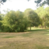 Por qué se secan los parques en verano ?