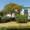 Construcción de jardines sobre aparcamientos subterráneos