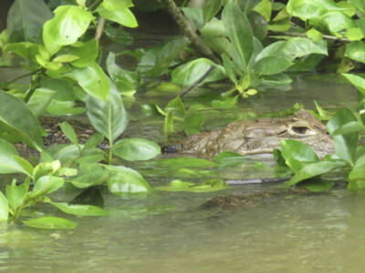Costa Rica Turismo de Naturaleza