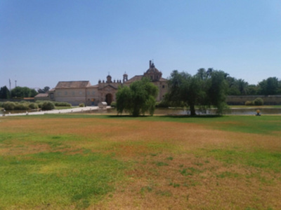 El Centro Andaluz de Arte Contemporáneo una opción cultural consolidada.