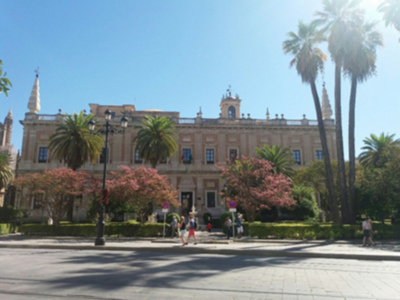 El árbol de Júpiter florece durante el verano en Sevilla