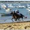 El Segundo Ciclo de las Carreras de Caballos de Sanlúcar de Barrameda, en Canal Sur Televisión y ATV