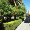 Florece en Sevilla la Corona de Novia