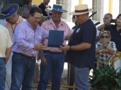 Buen tiempo en una Fiesta de la Palmicha que homenajeaba a la peña Las yeguas