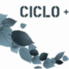 Ciclo+ Otoño del 12 de octubre al 4 de noviembre