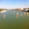 XXI Trofeo Club Náutico Sevilla de Tablas Deslizadoras a Vela