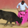 Tentadero de Ferrera en Hermanos Sampedro