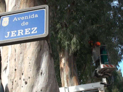 Comienza en Rodríguez de la Fuente el plan de poda municipal anual