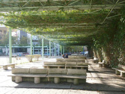 Las pergolas en Sevilla