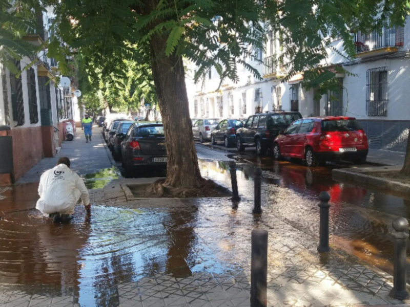 Una persona vestida con un traje de plástico camina por una calle inundada, rodeada de árboles y edificios. La imagen muestra el impacto del clima en la ciudad, con agua fluyendo por las calles y reflejándose en los adoquines.