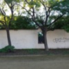Vandalismo en parques y jardines de Sevilla