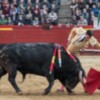 Oreja de peso a la torería y pureza de Ureña