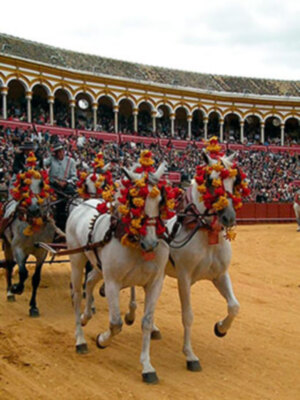 Un viaje al Siglo XIX en los enganches de la Feria Sevillana 2017