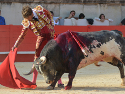 Manuel Escribano corta la primera oreja de la feria de Nîmes