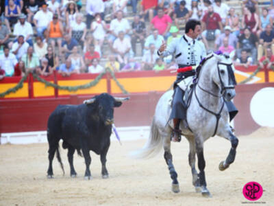 Oreja por coleta a los tres rejoneadores alicantinos que cierran la Feria de Hogueras