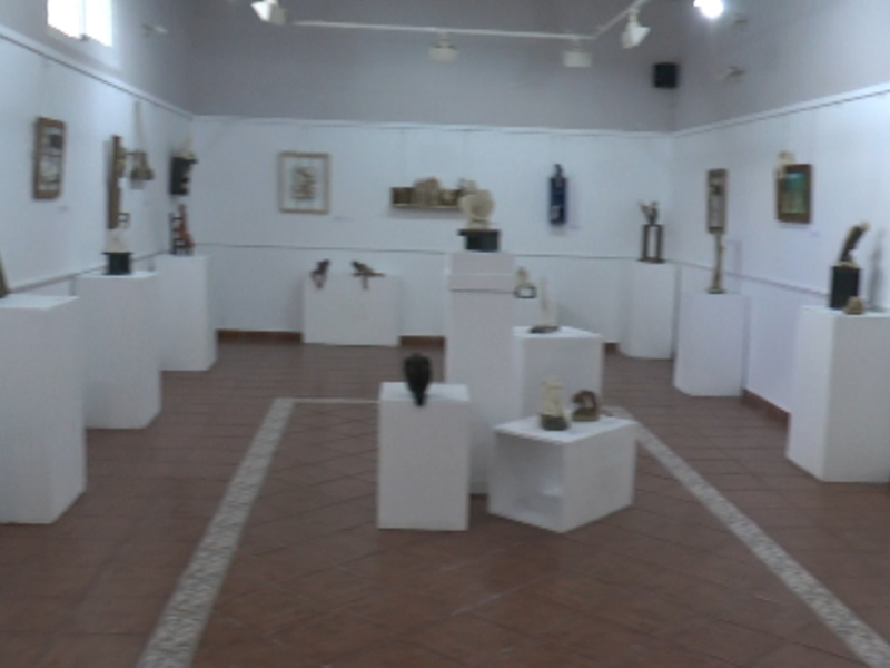 Salón de exposiciones con vitrinas y estantes blancos. Paredes blancas, suelo de baldosas marrones. Lámparas en la parte superior del techo.