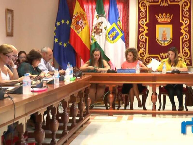 Señoras y señores, en una sala de conferencias con banderas europeas y regionales, se reúnen para discutir temas importantes. La mesa central está llena de documentos y lápices, mientras que los asistentes están sentados en sillas alineadas. La atmósfera es formal y seria, indicando una reunión de trabajo o política.