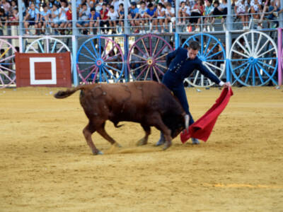 Comenzó las fiestas taurinas de la Algaba 2017