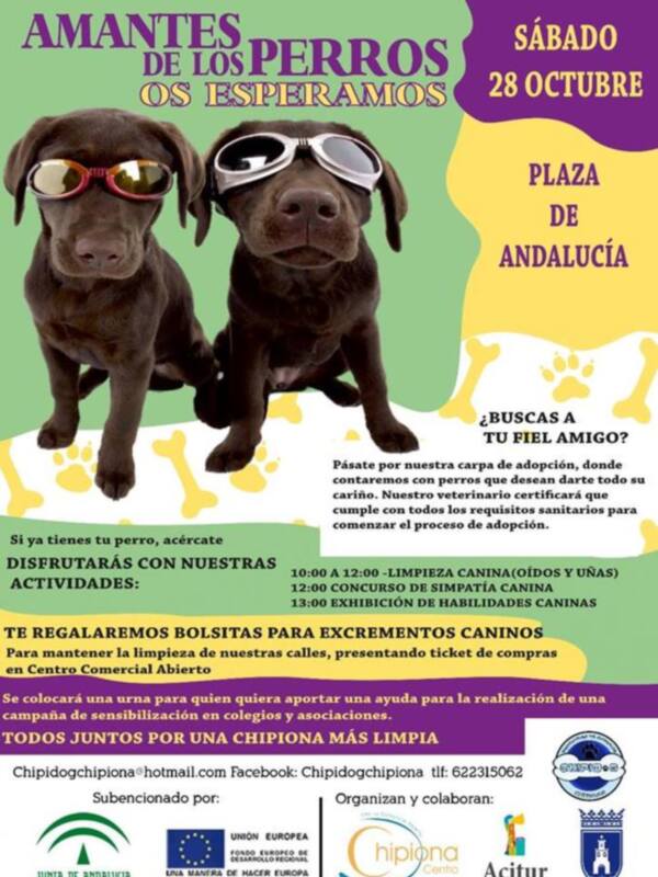 Amantes de los perros, os esperamos el sábado 28 de octubre en la Plaza de Andalucía. ¡Disfruta de limpieza canina, concursos y exhibiciones!