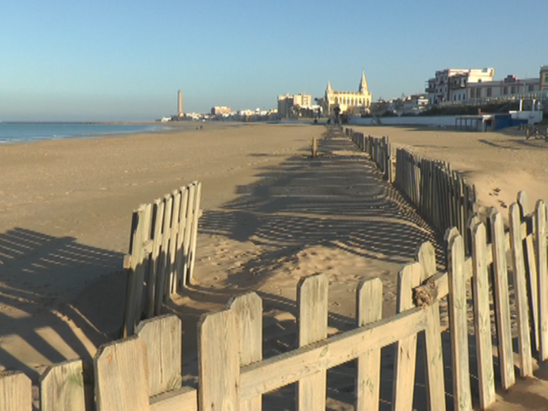 Playa de las Américas, Tenerife, con su playa de arena y edificios en el horizonte bajo un cielo azul claro.