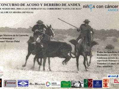 El mundo de la garrocha vuelve a mostrar su cara más solidaria el 10 de marzo con el V concurso de acoso y derribo a beneficio de Andex