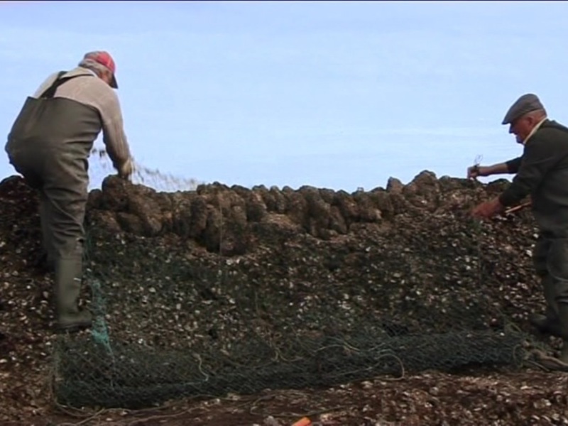 Dos hombres trabajando en un campo de patatas, uno con una red y otro con herramientas. El cielo es azul claro.