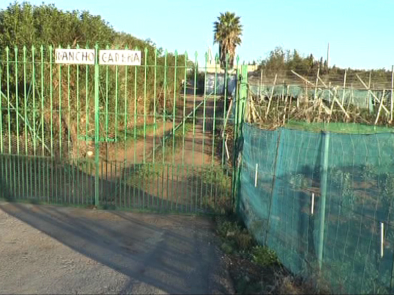 Puerta de acceso a un área cerrada con una cerca verde y un cartel que dice "Parche de Carga". La imagen muestra un camino asfaltado y vegetación en el fondo.