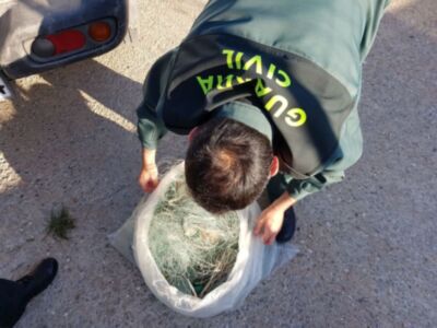 La Guardia Civil de Chipiona desmonta un trasmallo de cincuenta metros frente a Costa Ballena