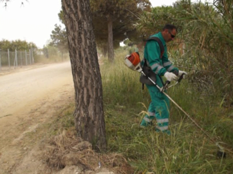Un trabajador de mantenimiento corta ramas con una motosierra en un camino rural. La escena muestra la importancia de la conservación y el cuidado del entorno natural.