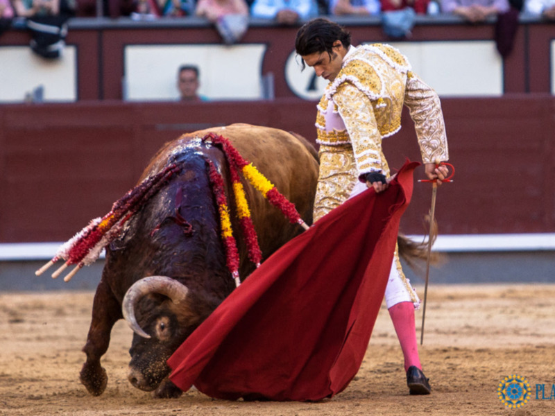 Un torero maneja un toro en una corrida de toros, con el manto rojo y el público en el fondo.