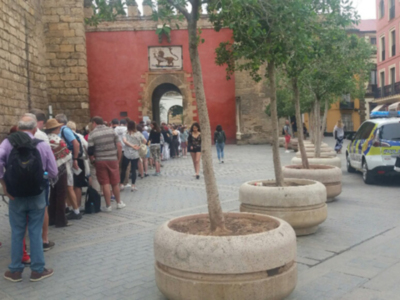 Cambiados de sitio los maceteros pero continúan las colas en el acceso al Alcázar