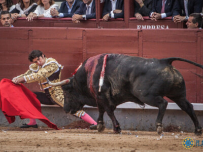 Oreja a la raza de Cayetano