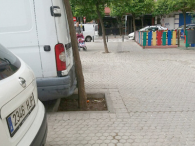 El mal diseño de los alcorques permite que los vehículos puedan causar daños al árbol en la vía pública.