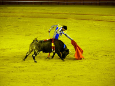 Kevin triunfador de la novillada nocturna en el Real Maestranza.