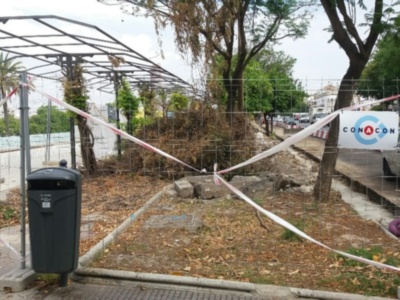 Obras en el Paseo de Delicias que afectan al arbolado existente
