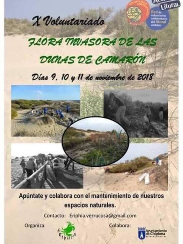 X Voluntariado Flora Masaora de las Dunas de Camarón. Días 9, 10 y 11 noviembre 2018. Mantenimiento de espacios naturales. Apúntate y colabora con Eriphia.verrucosa@gmail.com. Organiza: Eriphia. Colabora: Unidad de Chipiona.