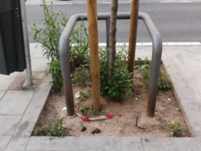 Los excrementos de perros en acerados y el abandono de alcorques sin árboles, una urgencia pendiente de resolver en Los Remedios.