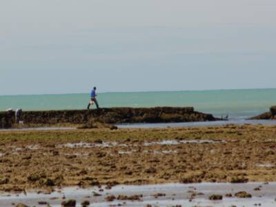 Chipiona se adhiere al pacto por la sostenibilidad de la costa gaditana