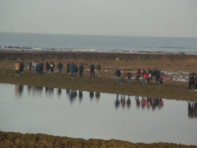 Editado un bando para proteger y preservar los corrales de pesquería de Chipiona en la época estival