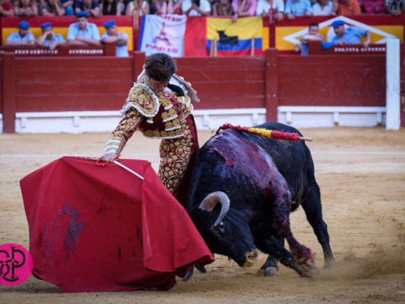 El Juli desoreja a un toro de Garcigrande de vuelta al ruedo
