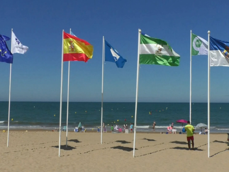 Banderas de diferentes países ondean en la orilla de una playa con un mar tranquilo y cielo azul.