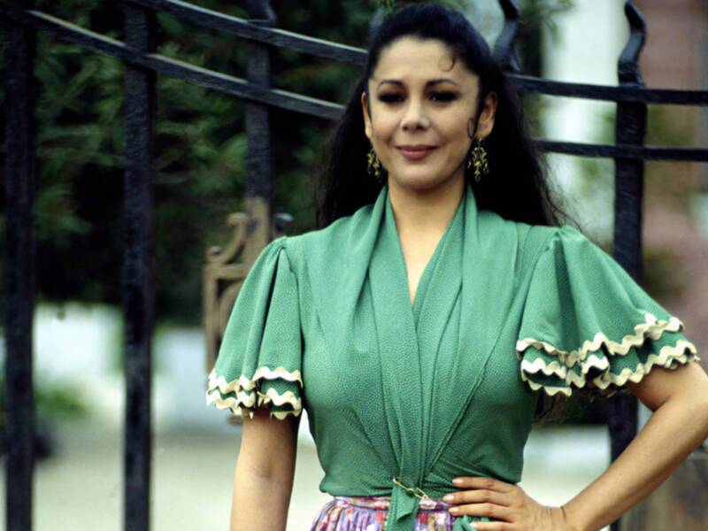 Retrato de mujer con vestido verde y detalles volantes, posando frente a una verja metálica con fondo de jardín.