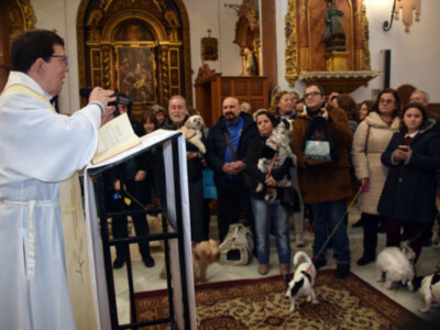 Fiesta de San Antón en la iglesia de San Roque con bendición de animales de  compañía.
