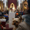 Los animales de compañía toma el atrio de la Iglesia de San Roque de Sevilla.